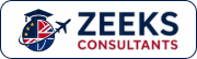 zeeksconsultants.com